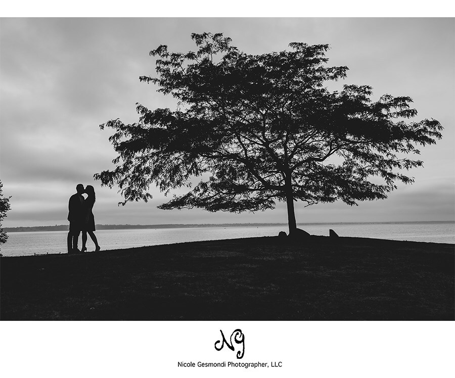 black and white silhouette couple tree engagement photo