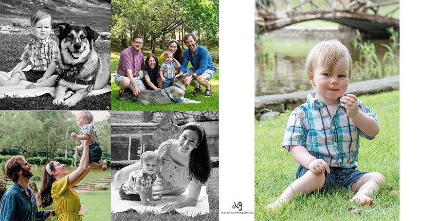 outdoor family portraits with toddler and dog