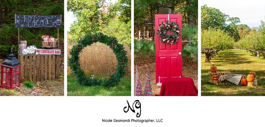 various holiday mini photo sets for clients to use during their session.