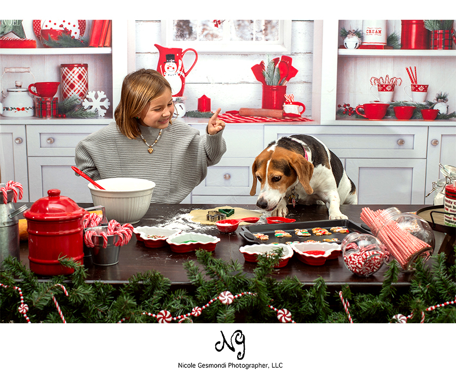 Holiday Kitchen Mini Sessions with child and beagle Warwick, RI