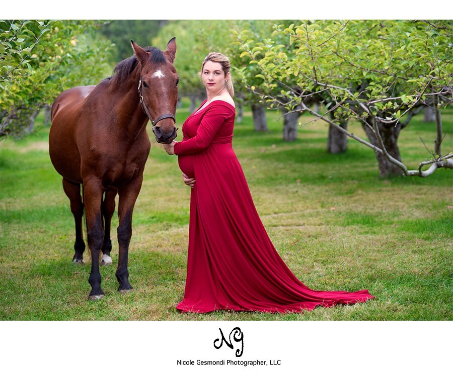 Outdoor maternity photos with a horse at a farm