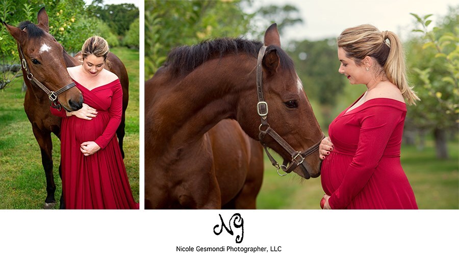 Outdoor maternity photos with a horse at a farm