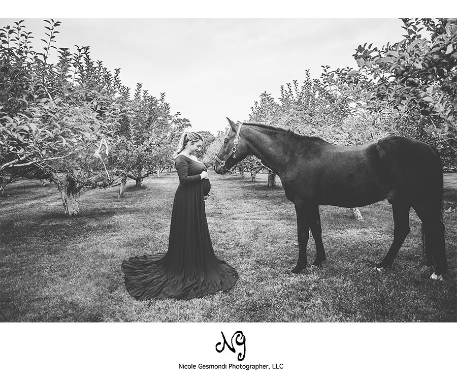 Outdoor maternity photos with a horse at a farm