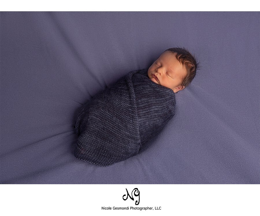 Purple backdrop swaddle newborn photo