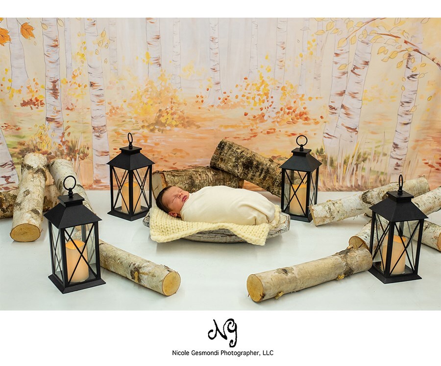 whimsical woodland themed newborn photography