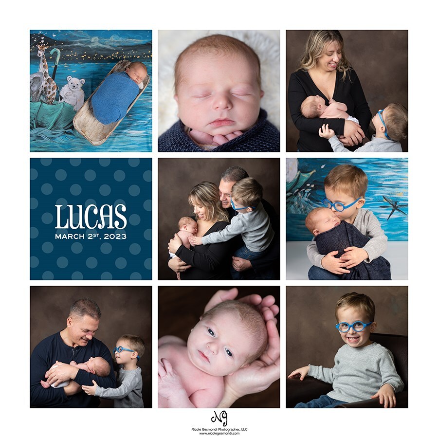 Fine Art Newborn Photo Collage | Nicole Gesmondi Photographer