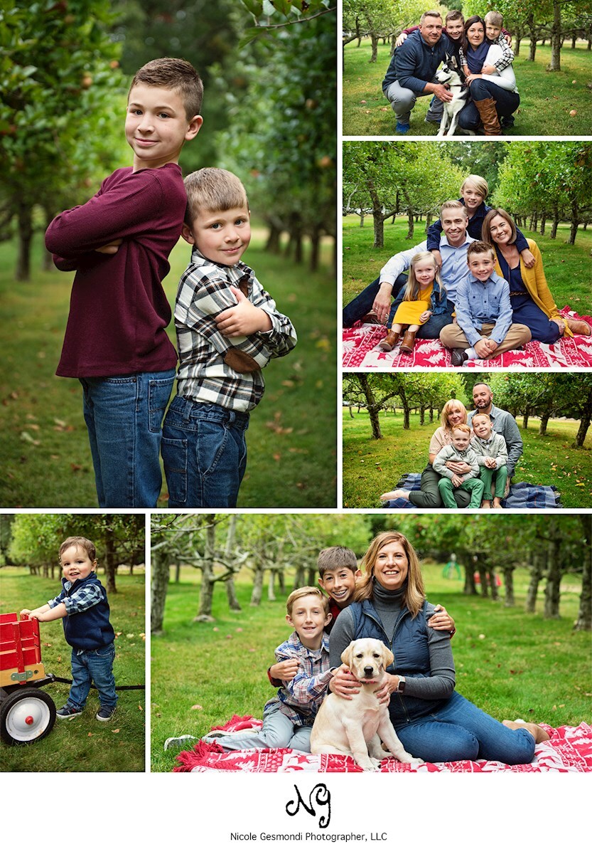 fall mini photo sessions at Indian Rock Farm RI Apple Orchard