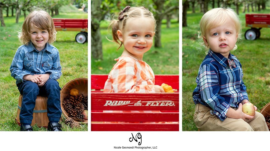 radio flyer red wooden wagon town and country photo prop