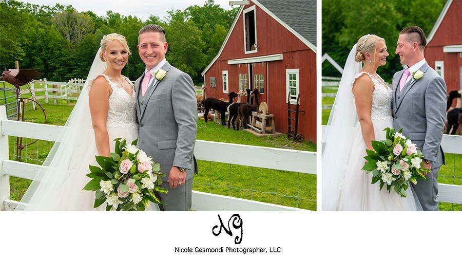 bride and groom five bridge inn wedding photos llamas