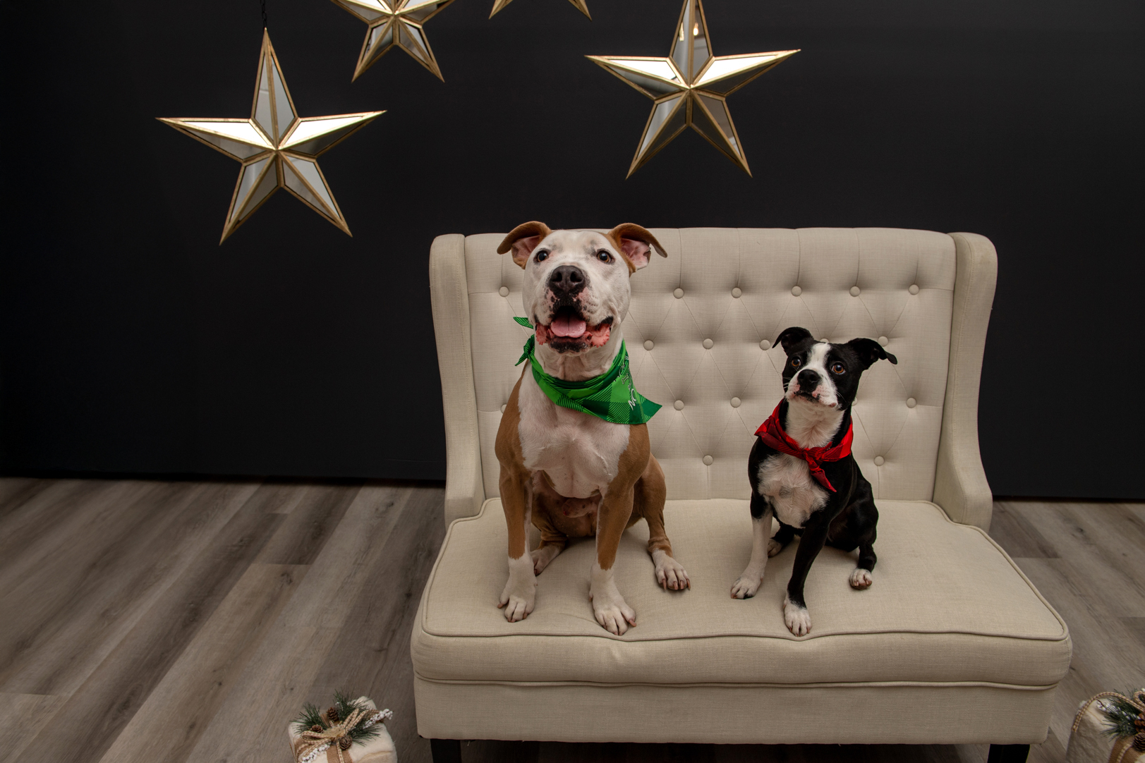 View full image: Photo 8