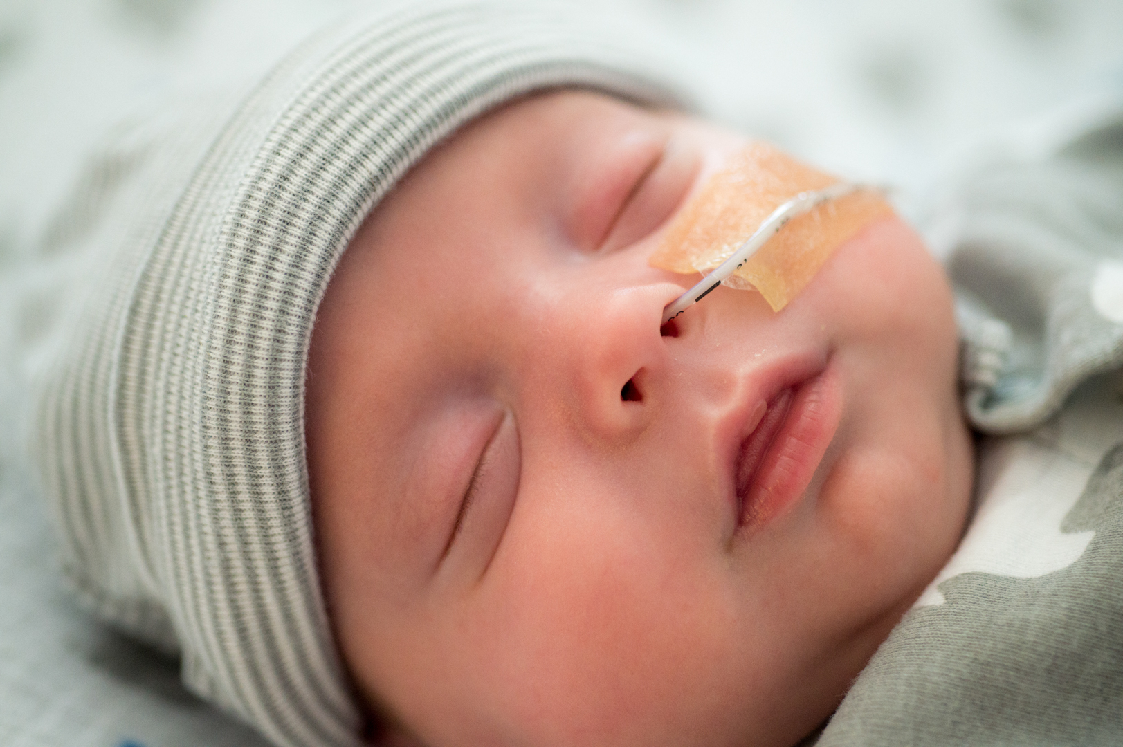 View full image: Photo 4