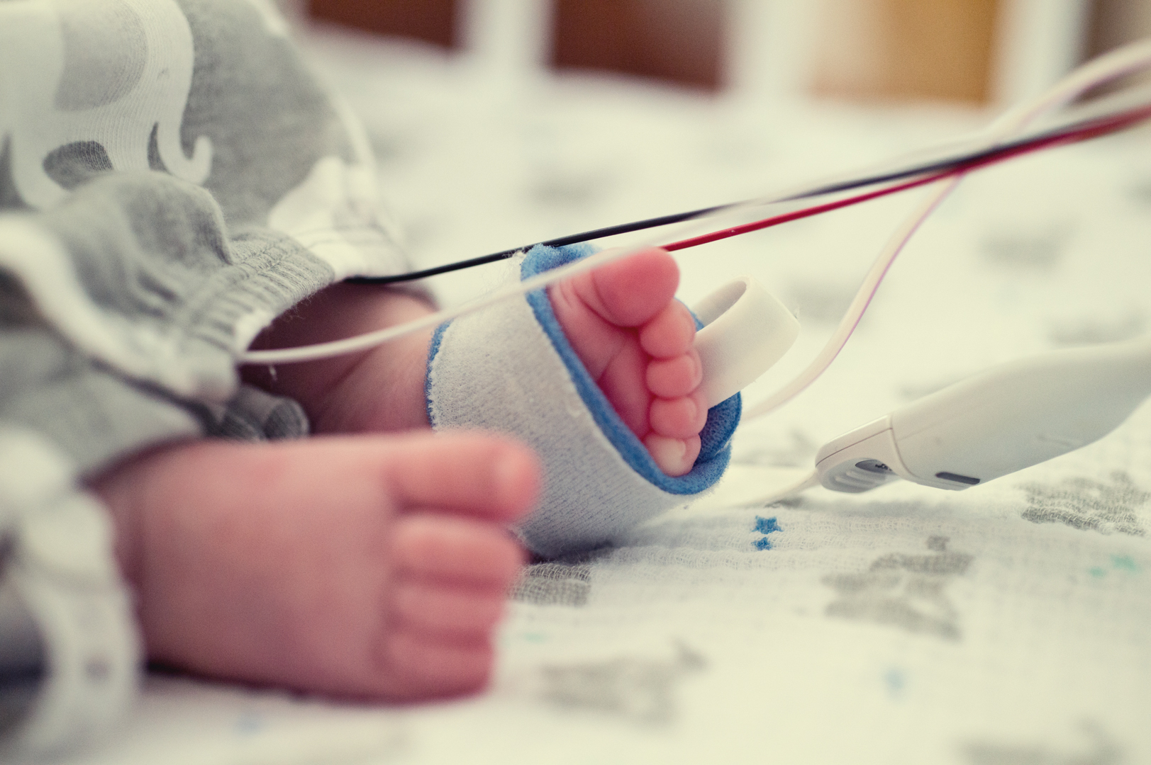 View full image: Photo 6