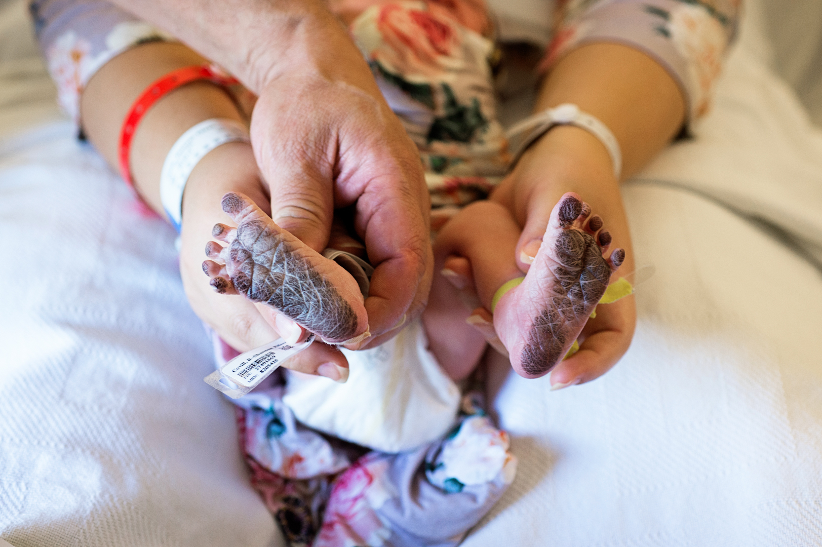 View full image: Photo 8