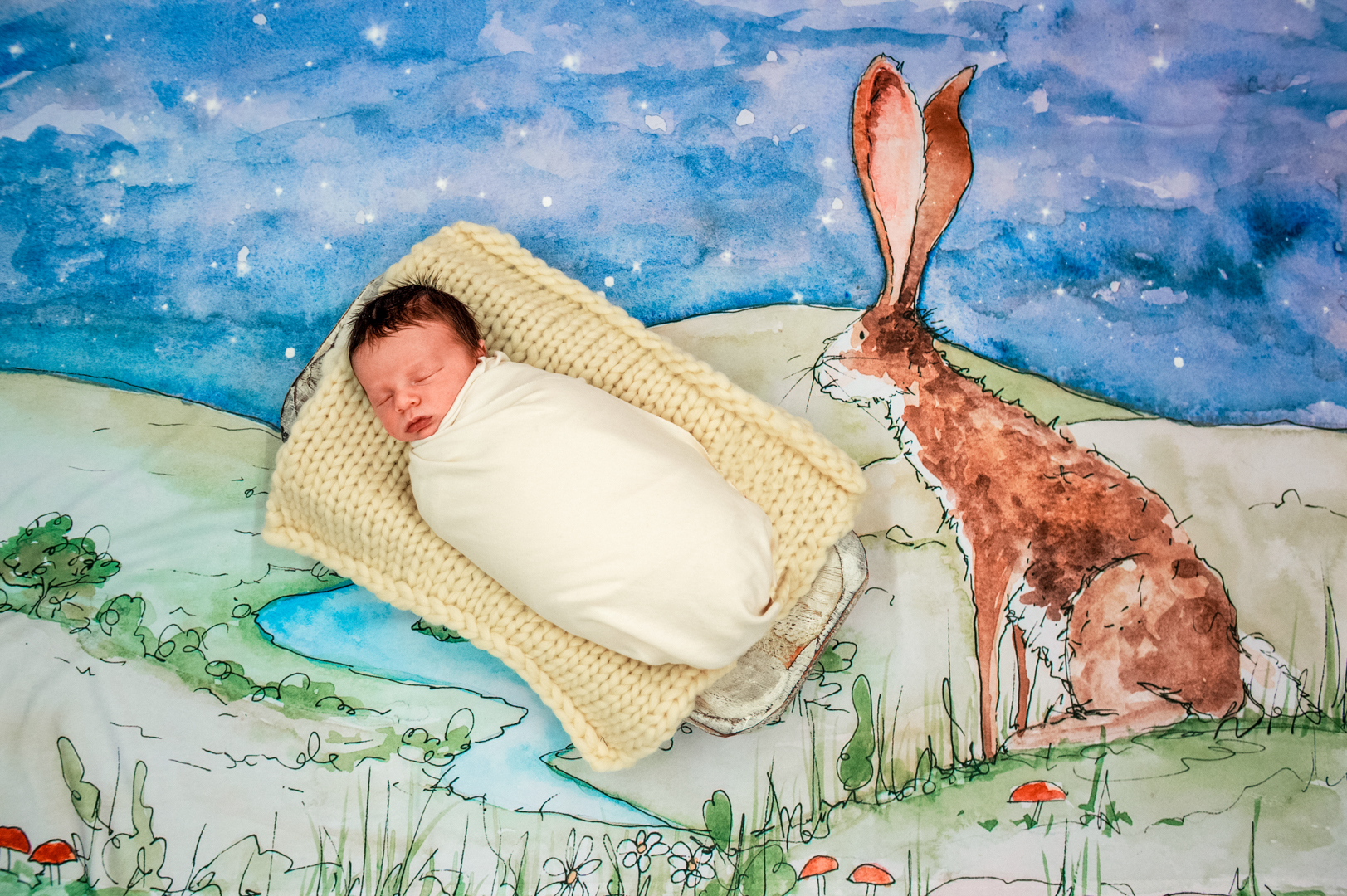 View full image: Photo 3